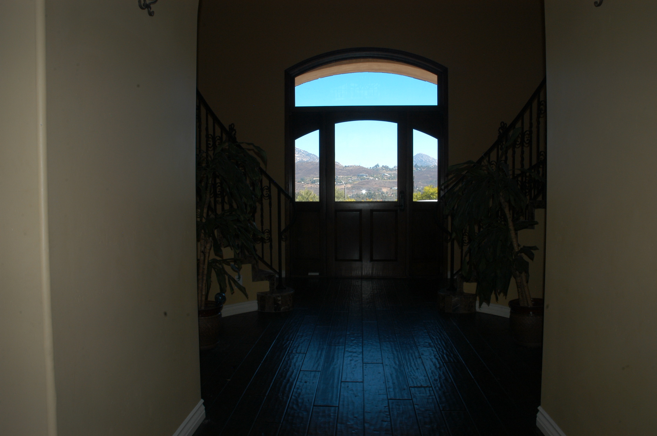 Front Entry Door